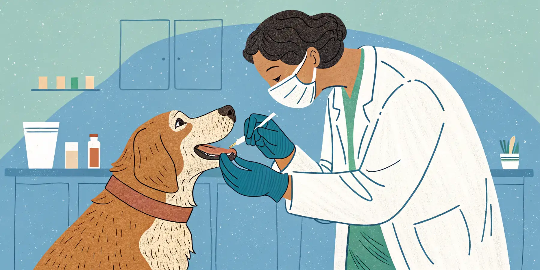 Senior Dog Dental Care: Keeping Smiles Healthy