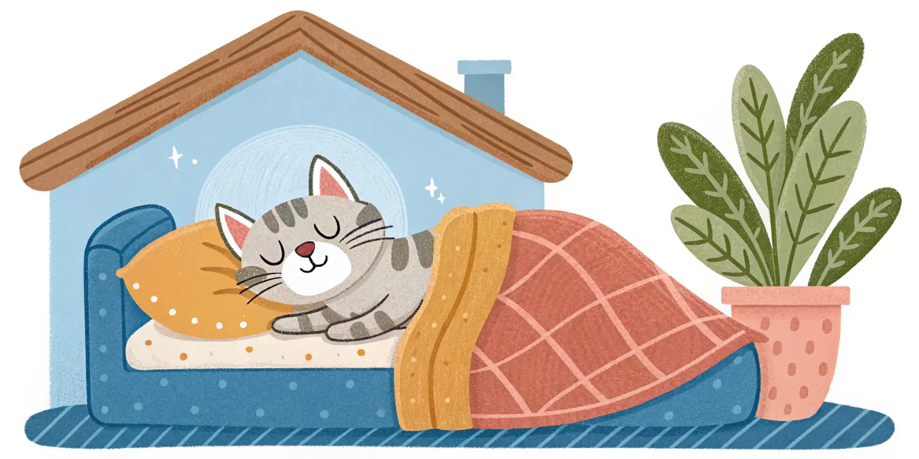 Cat Palliative Care: Comfort & Compassion